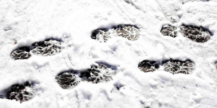 Schone Straat Groene Buurt