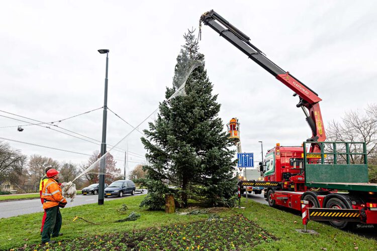 kerstboom