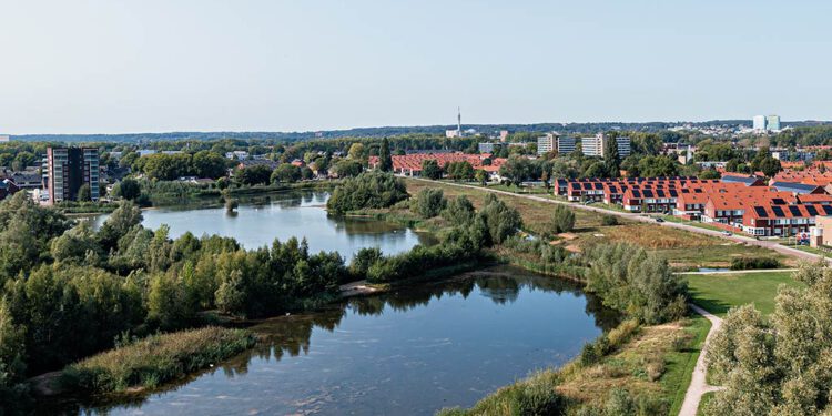 Whemerplas