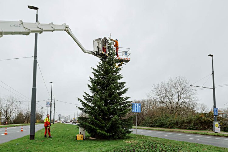 Hij staat weer…de kerstboom!
