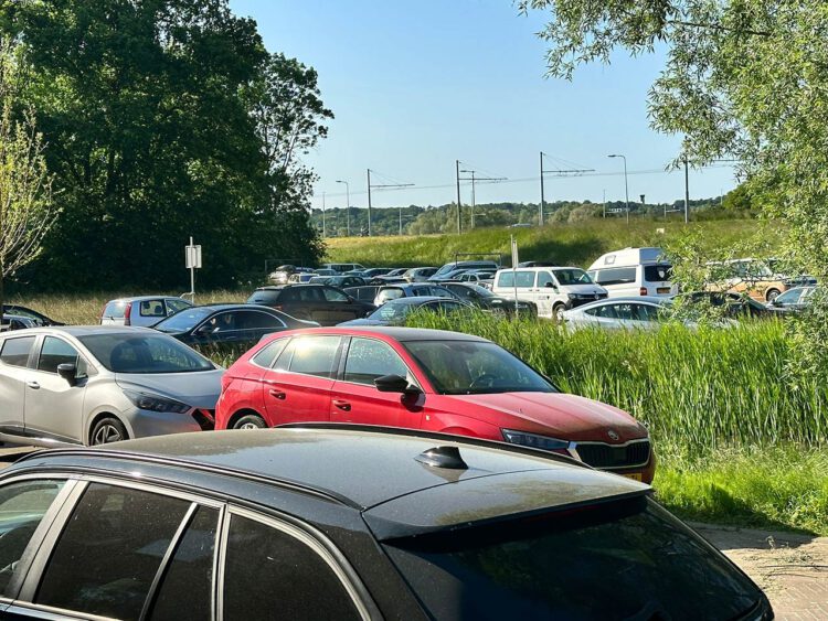 klachten Free Your Mind