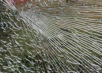 Leefbaarheid & Veiligheid