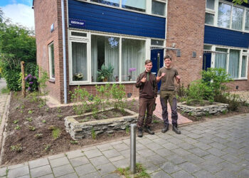 Win een gratis groene voortuin