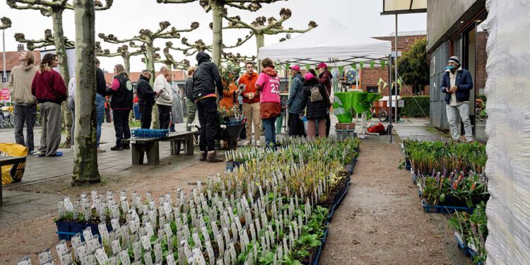 Plantdag
